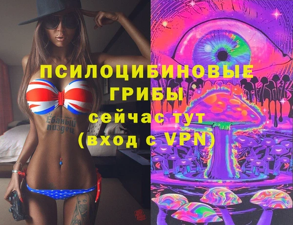 дурь Алзамай