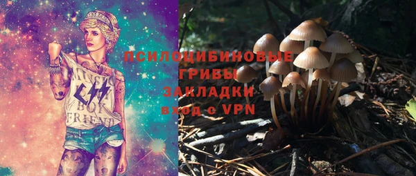 дурь Алзамай