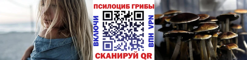 как найти наркотики  Аркадак  Псилоцибиновые грибы прущие грибы 